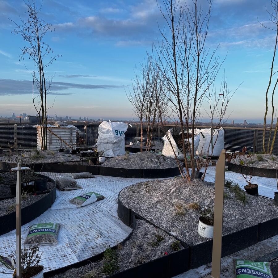 THE URBAN WOODS, DELFT