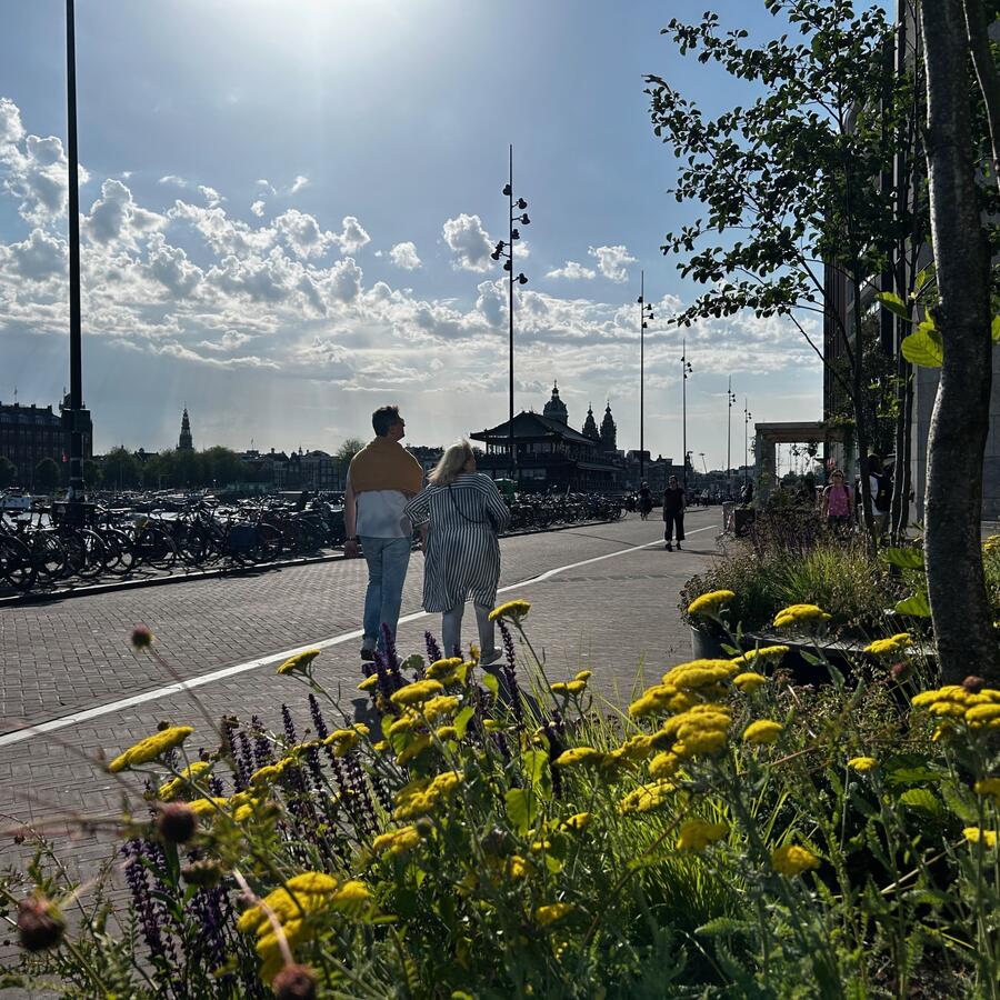 SHADEMAKERS, AMSTERDAM