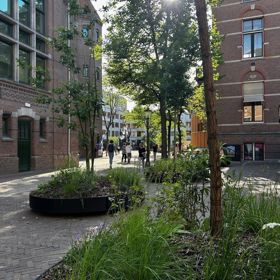 UNIVERSITEITSKWARTIER, AMSTERDAM
