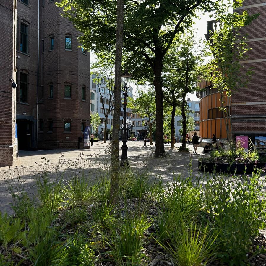 UNIVERSITEITSKWARTIER, AMSTERDAM