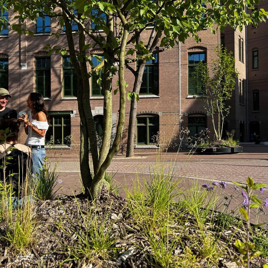 UNIVERSITEITSKWARTIER, AMSTERDAM