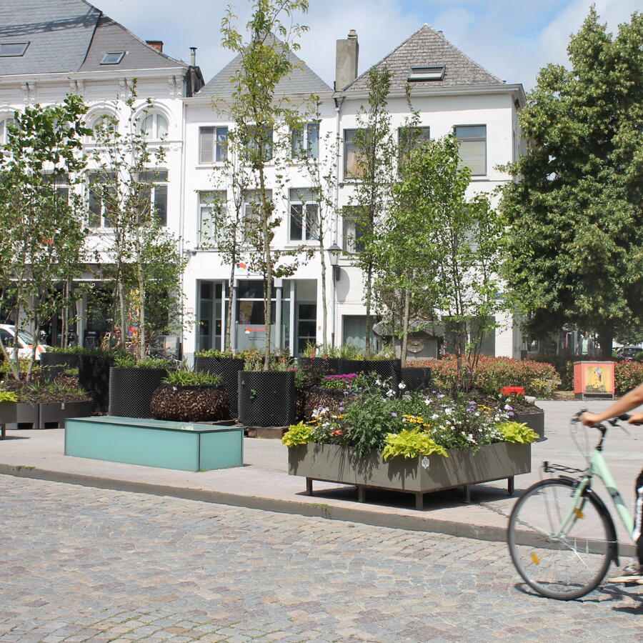 VEEMARKT, MECHELEN