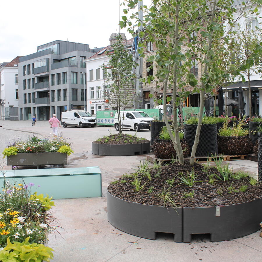 VEEMARKT, MECHELEN