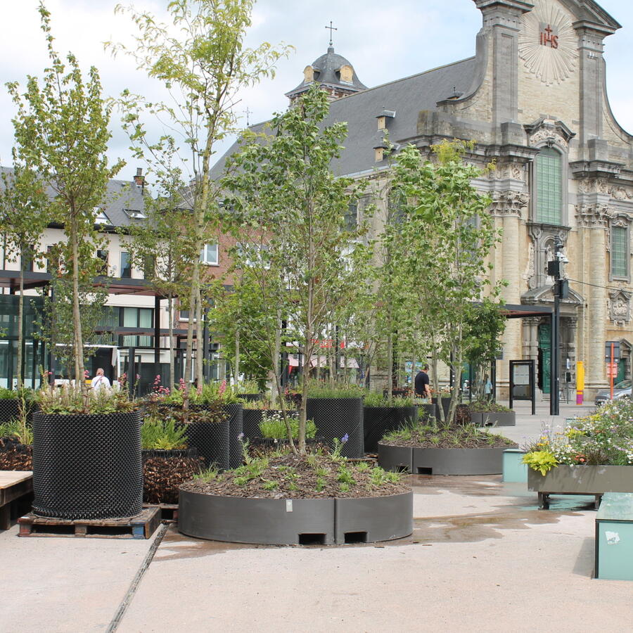 VEEMARKT, MECHELEN