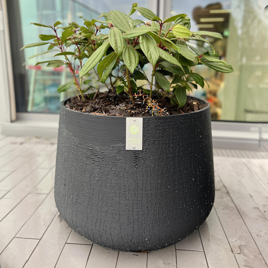 Jungle Pots.: 3D-gedruckte Pflanzgefäße für jeden Innenhof.