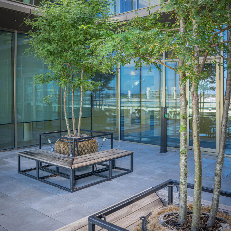 THE FINCH, OEGSTGEEST: Majestic trees decorating the balconies of this brand new office building