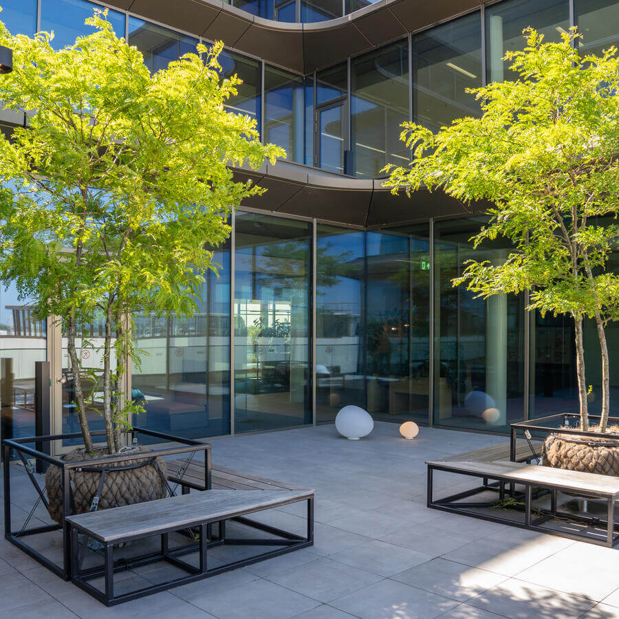 THE FINCH, OEGSTGEEST: Majestic trees decorating the balconies of this brand new office building