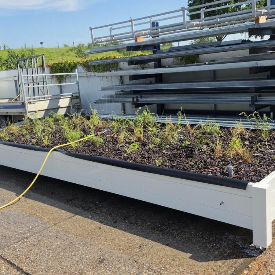 20ft Jungle.: Turning a container roof into a cool, green worksite.