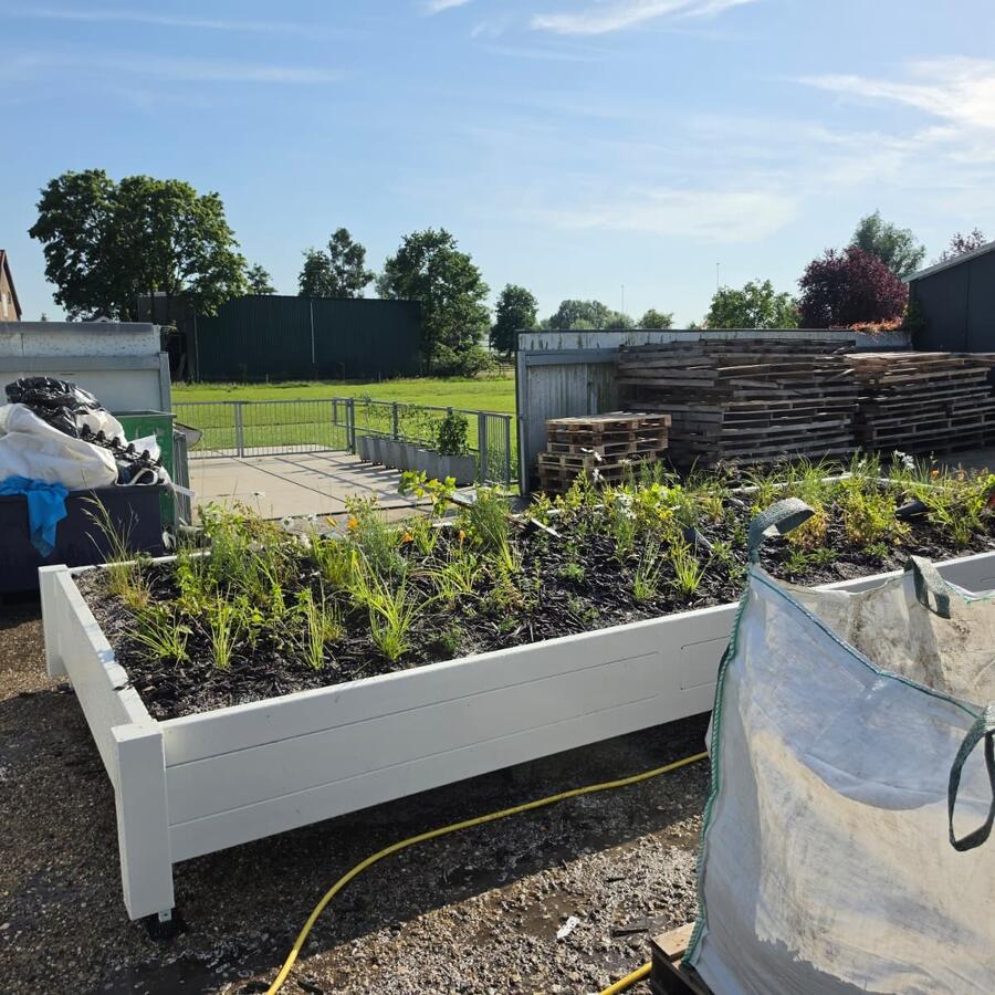 20ft Jungle.: Turning a container roof into a cool, green worksite.
