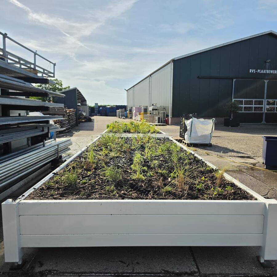 20ft Jungle.: Turning a container roof into a cool, green worksite.