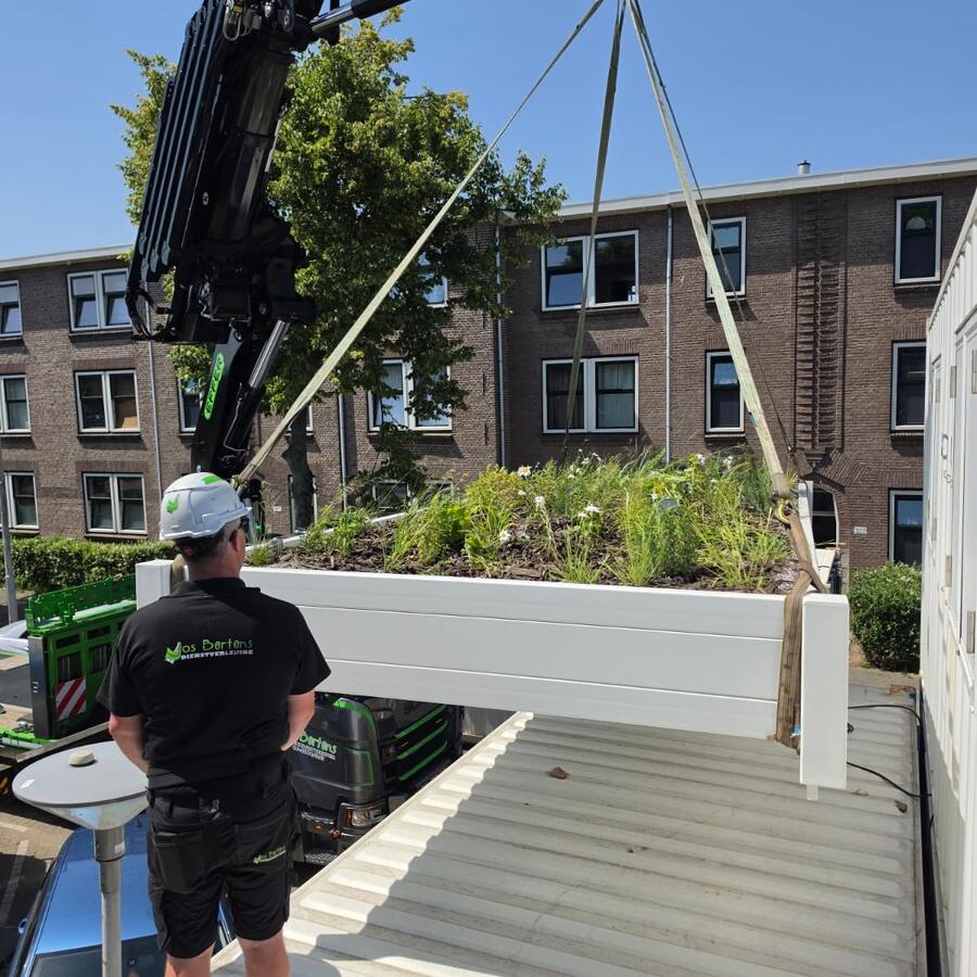 20ft Jungle.: Turning a container roof into a cool, green worksite.