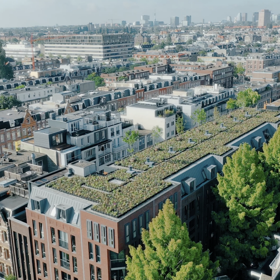 VVE BLUELAND, AMSTERDAM: Modulaire biodiversetuin op een dak in Amsterdam
