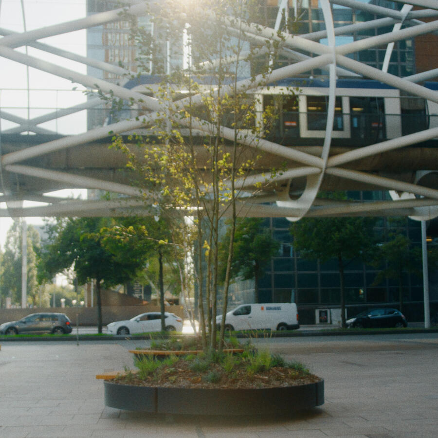 BEATRIKWARTIER, DEN HAAG