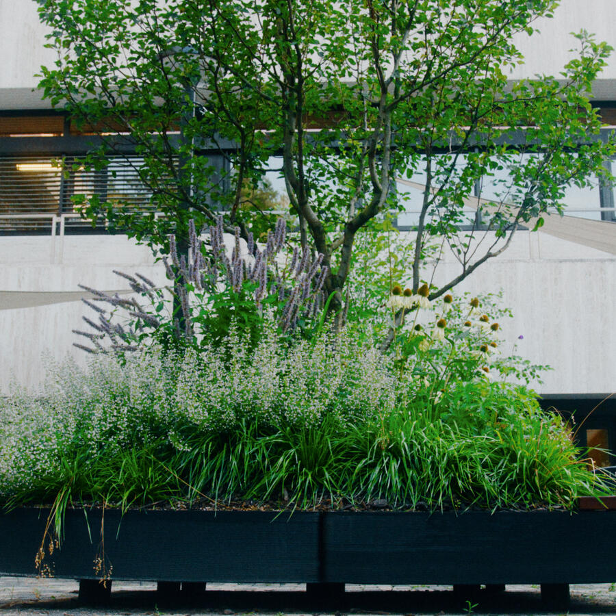 Jungle Blocks®.: Modular and lightweight tree planter for (roof)landscaping.