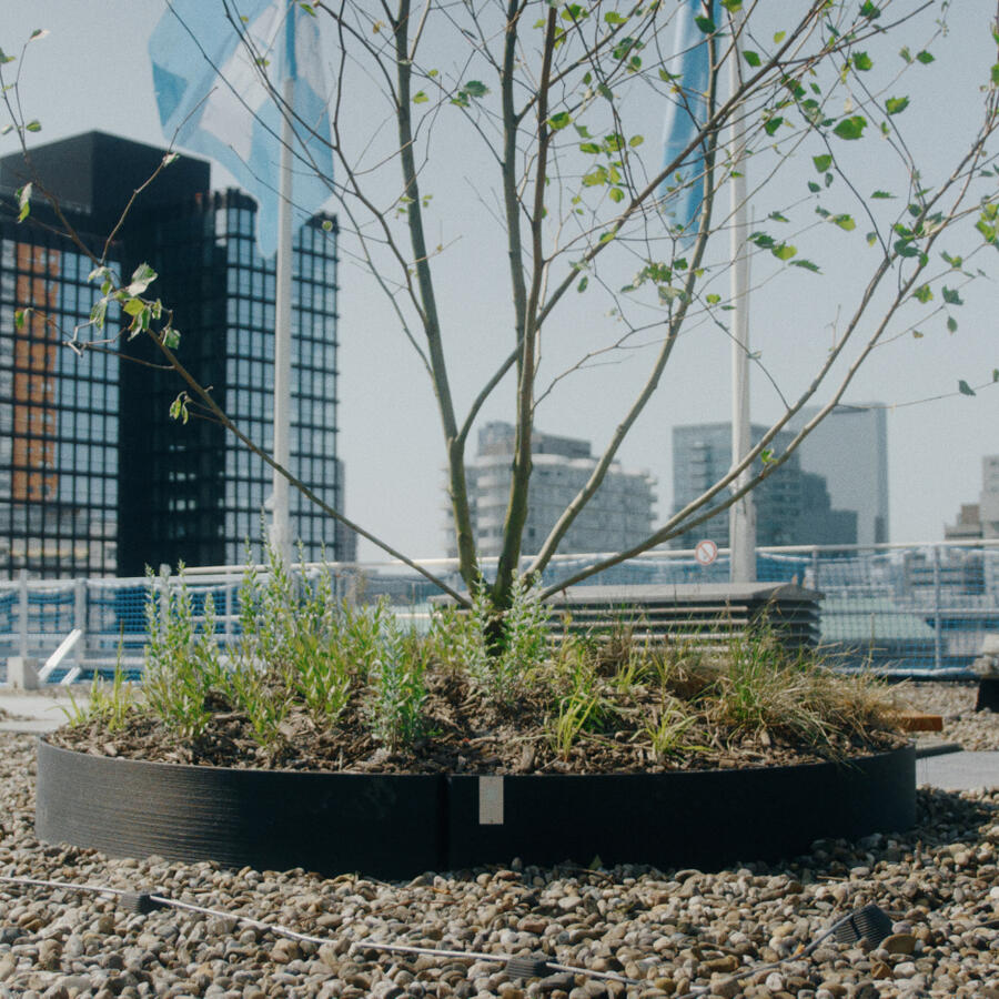 Jungle Blocks®.: Modular and lightweight tree planter for (roof)landscaping.