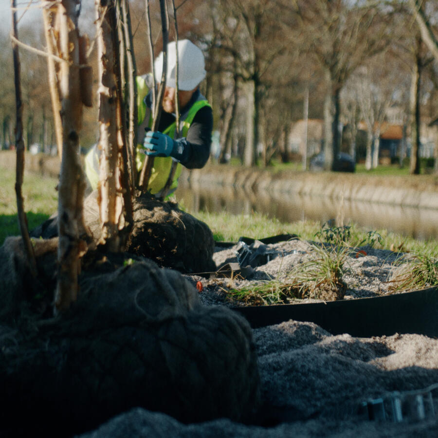 THE URBAN WOODS, DELFT