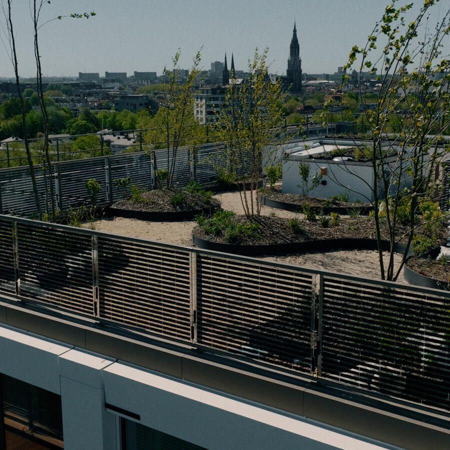 THE URBAN WOODS, DELFT