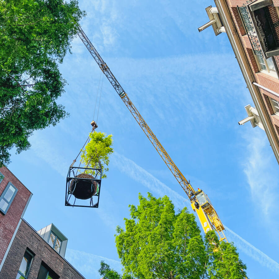 Urban Tree.: A lightweight solution when planting is not an option.