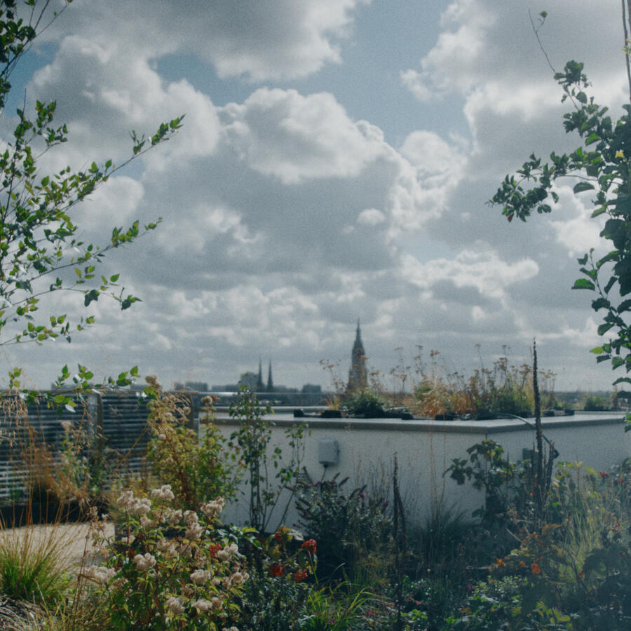 THE URBAN WOODS, DELFT