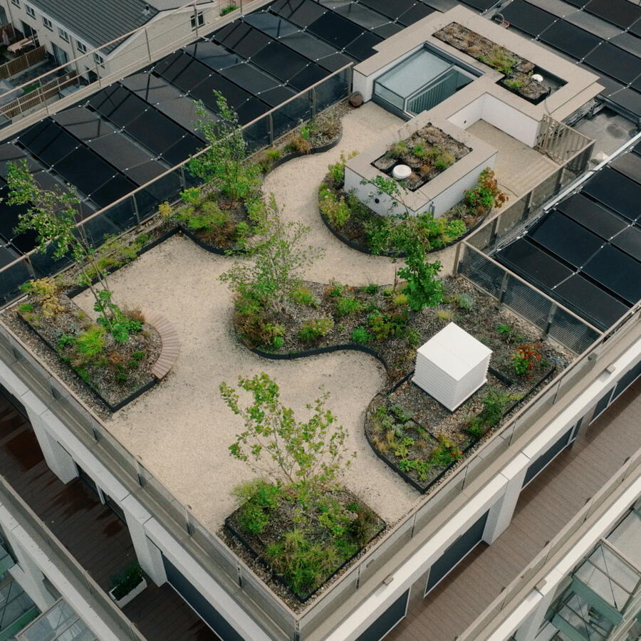 Jungle Blocks®.: Modular and lightweight tree planter for (roof)landscaping.