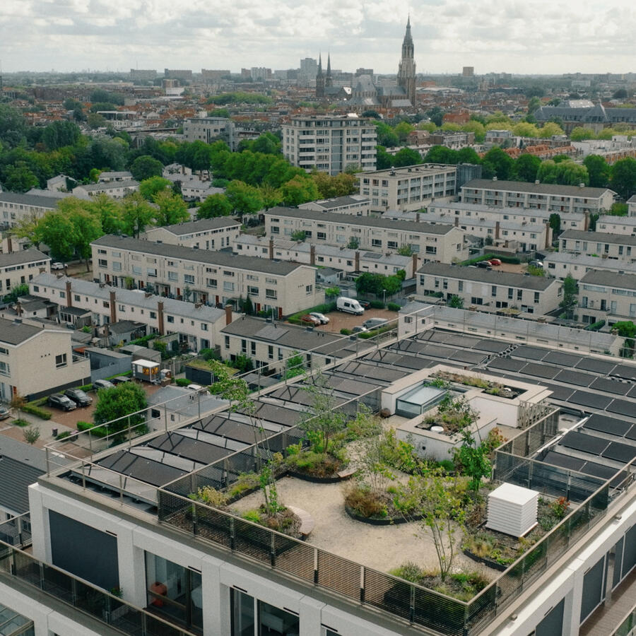 THE URBAN WOODS, DELFT