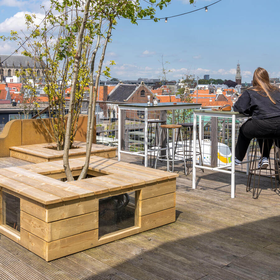 DEDAKKAS, HAARLEM: Dancing trees on the terrace with the best view in Haarlem
