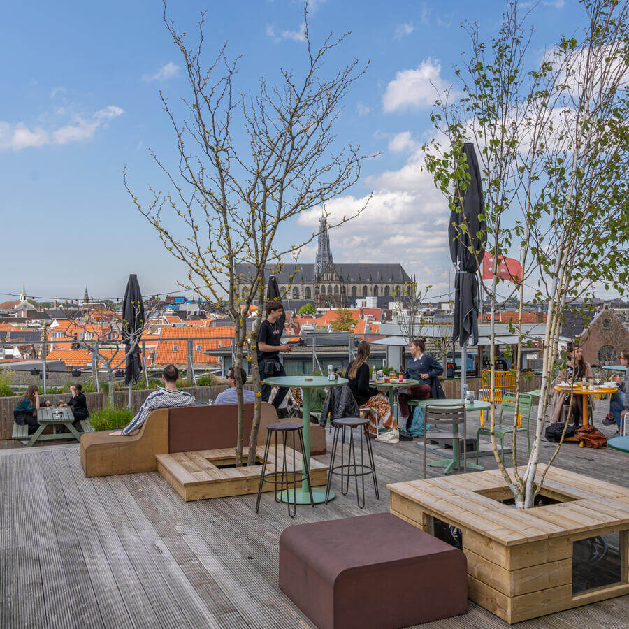 DEDAKKAS, HAARLEM: Dancing trees on the terrace with the best view in Haarlem