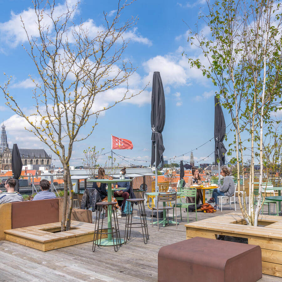 DEDAKKAS, HAARLEM: Dancing trees on the terrace with the best view in Haarlem