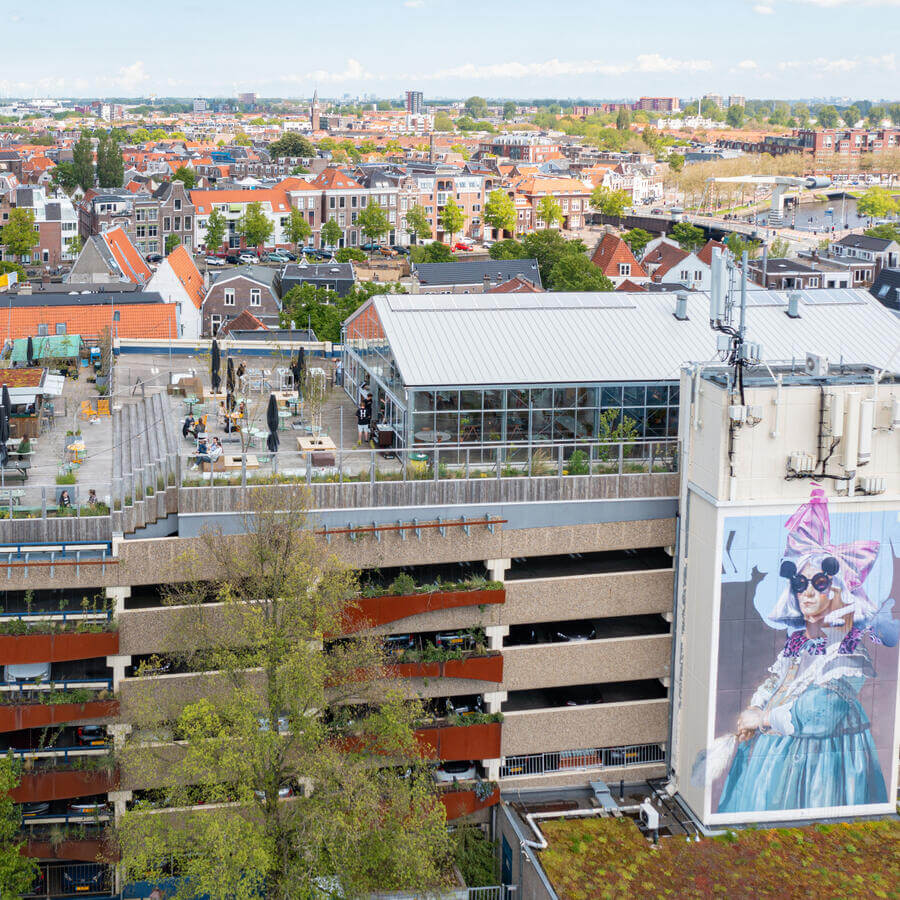 DEDAKKAS, HAARLEM: Dansende bomen op het terras met het mooiste uitzicht van Haarlem