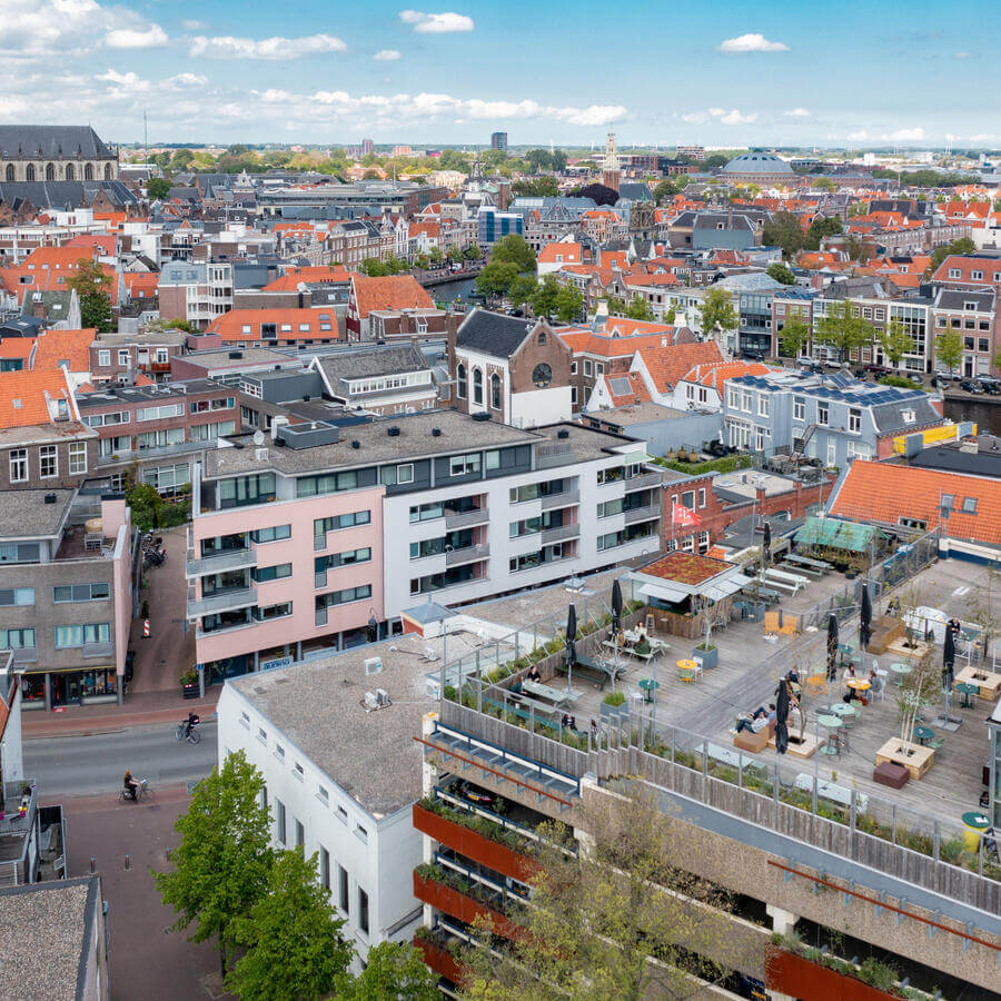 DEDAKKAS, HAARLEM: Tanzende Bäume auf der Terrasse mit der besten Aussicht in Haarlem