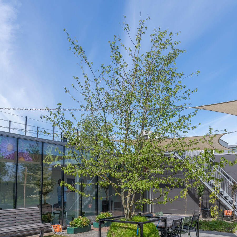 STADSKWEKERIJ, ROTTERDAM: Education and relaxation combined at the city nursery of Rotterdam