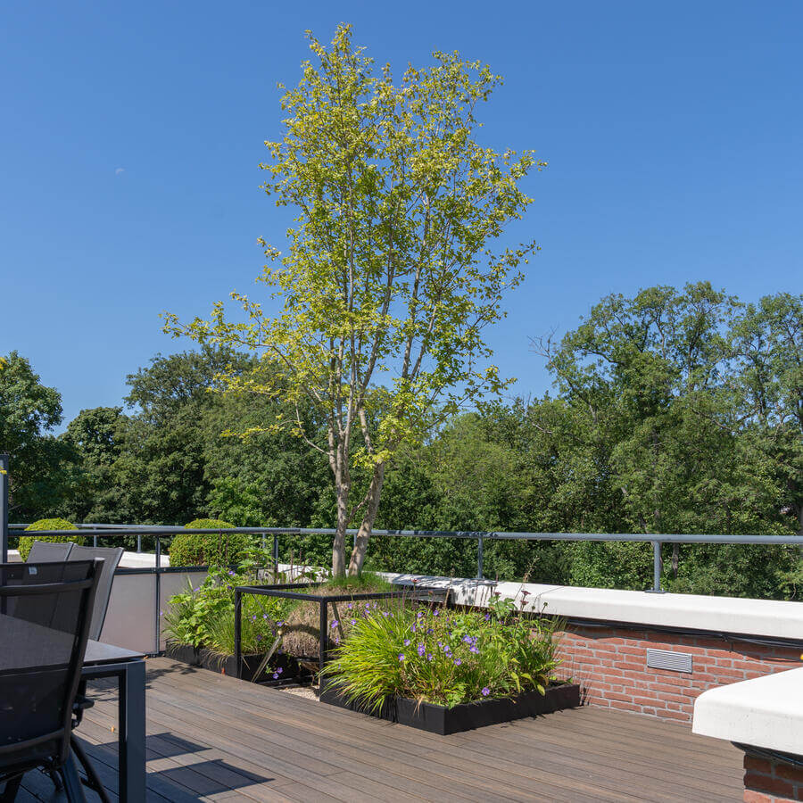 DAKTUIN, VOORBURG: Gestructureerde wildernis op het balkon van een penthouse in Voorburg