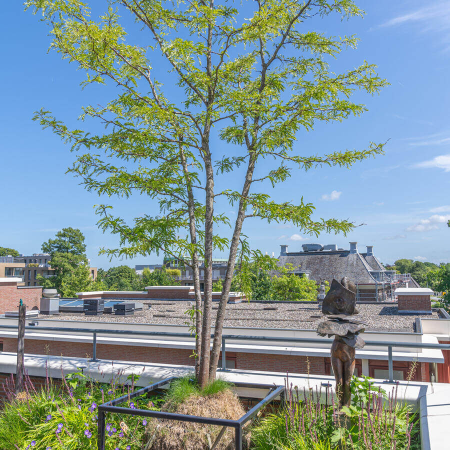 DAKTUIN, VOORBURG: Gestructureerde wildernis op het balkon van een penthouse in Voorburg