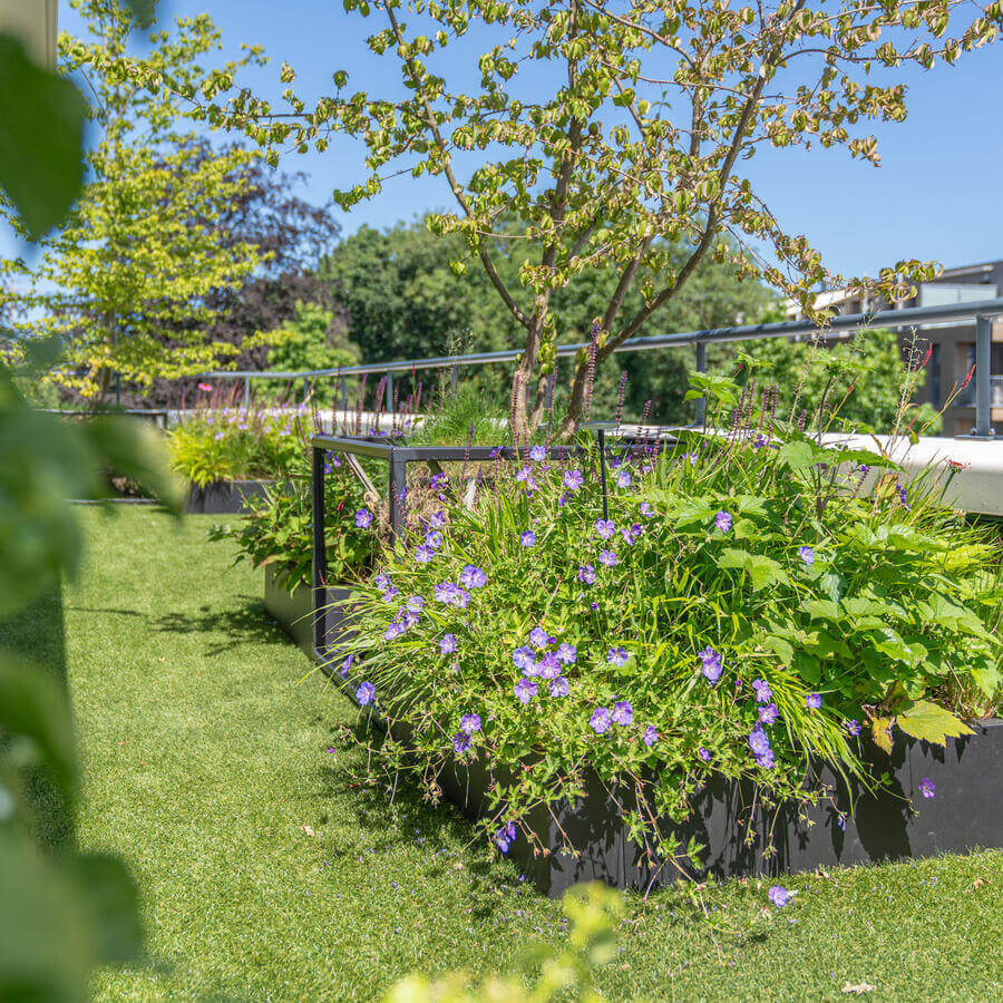 DAKTUIN, VOORBURG: Gestructureerde wildernis op het balkon van een penthouse in Voorburg