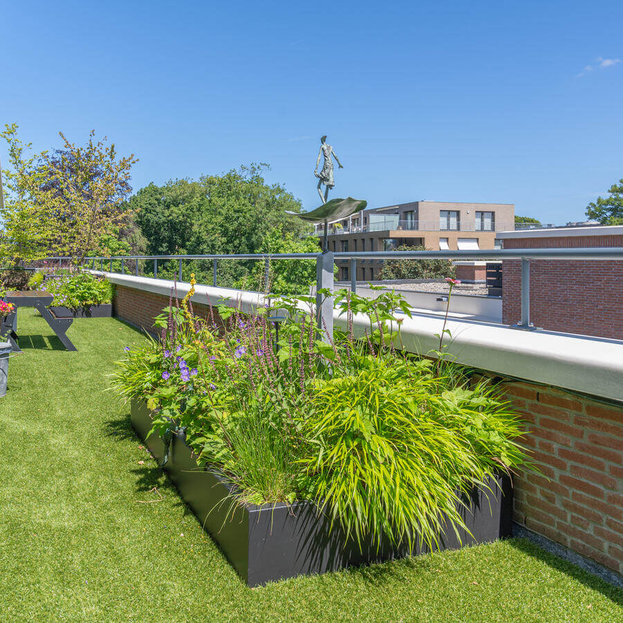 DAKTUIN, VOORBURG: Gestructureerde wildernis op het balkon van een penthouse in Voorburg