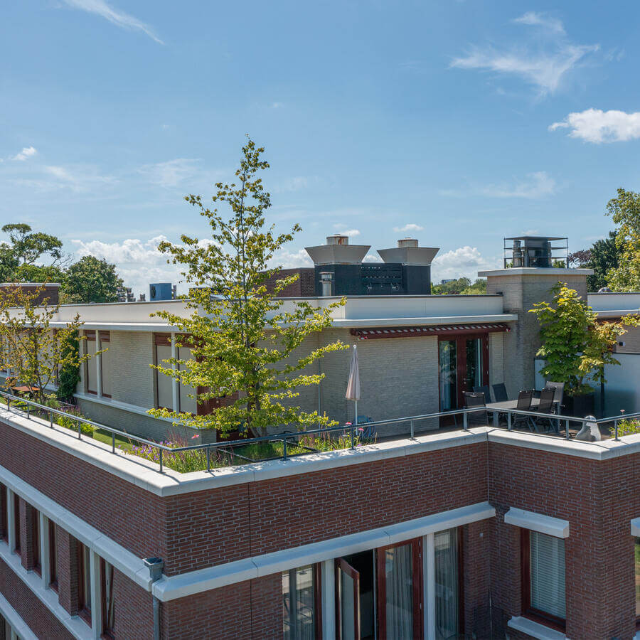 DAKTUIN, VOORBURG: Gestructureerde wildernis op het balkon van een penthouse in Voorburg