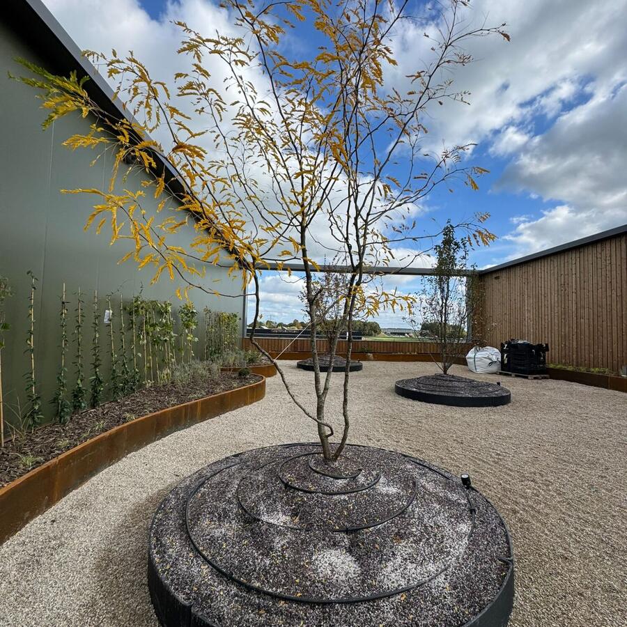 WOERDEN, HOOGENDOORN