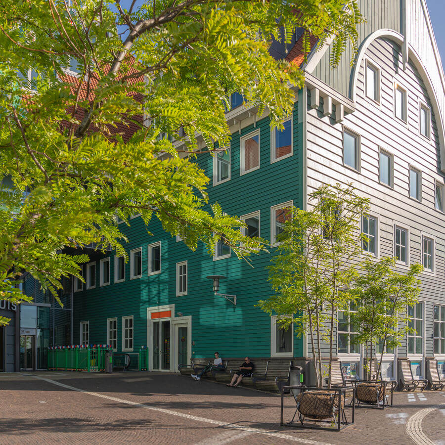 STADHUISPLEIN, ZAANDAM: Gleditsia vuurwerk bij de ingang van het gemeentehuis