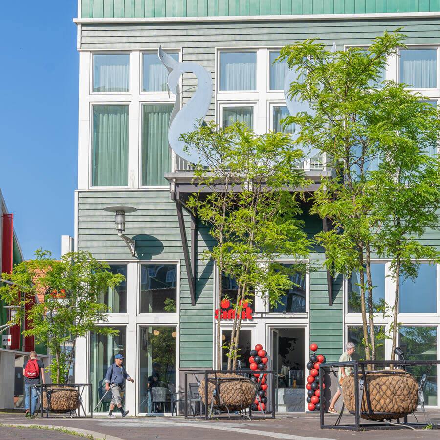 STADHUISPLEIN, ZAANDAM: Gleditsia vuurwerk bij de ingang van het gemeentehuis