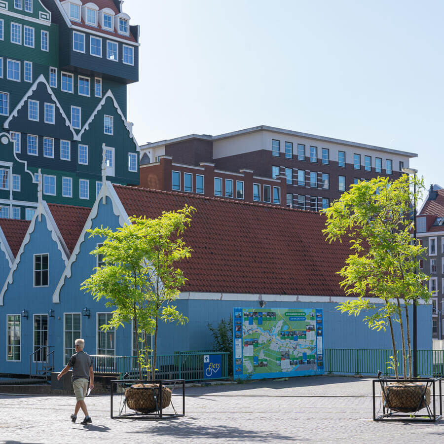 STADHUISPLEIN, ZAANDAM: Gleditsia vuurwerk bij de ingang van het gemeentehuis