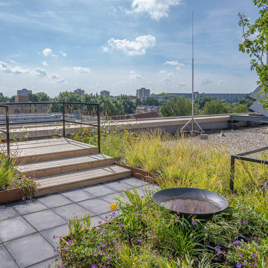 TOWNHALL, ZOETERMEER: An urban oasis on the fifth floor of the townhall