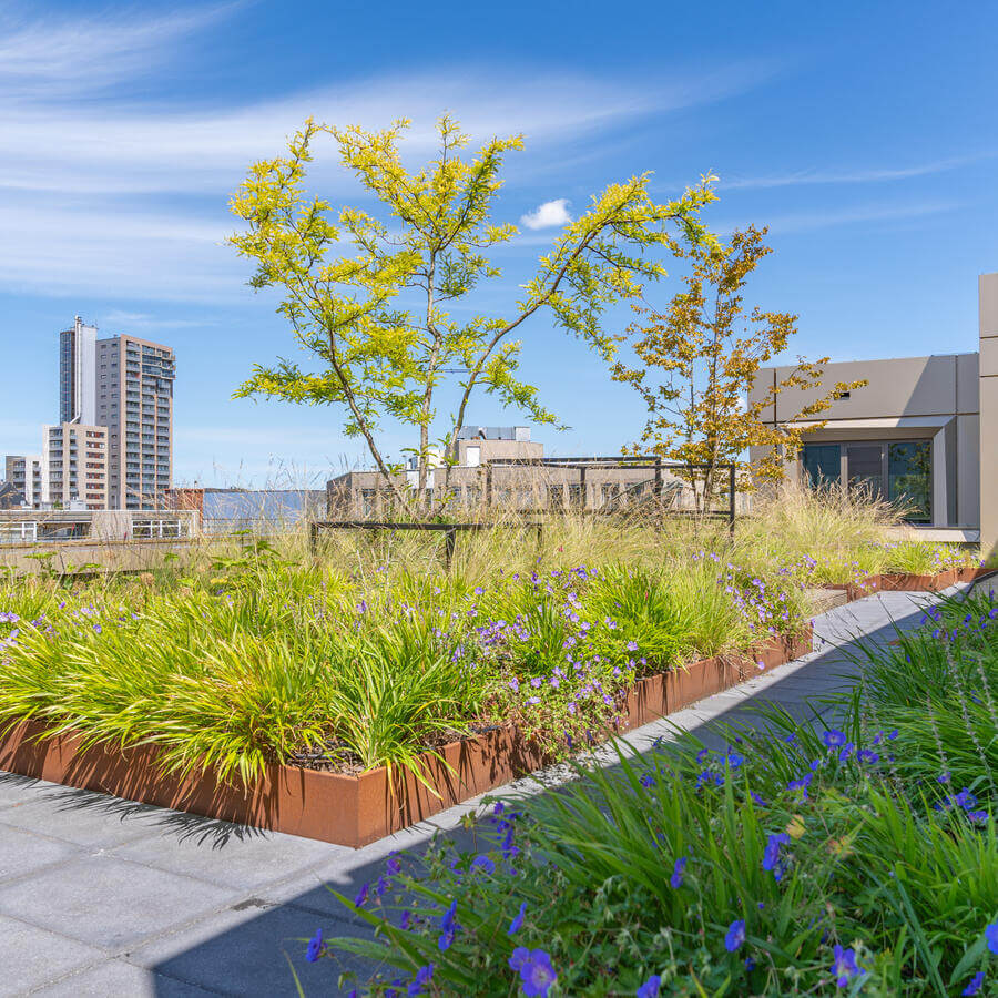 TOWNHALL, ZOETERMEER: An urban oasis on the fifth floor of the townhall