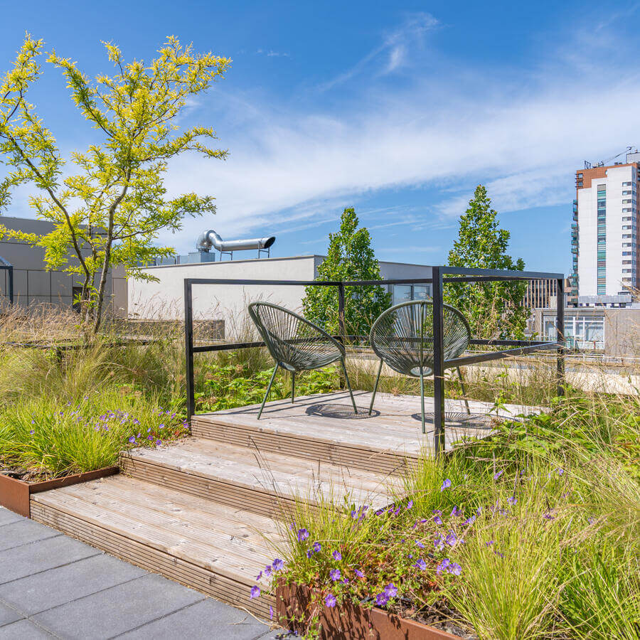 TOWNHALL, ZOETERMEER: An urban oasis on the fifth floor of the townhall