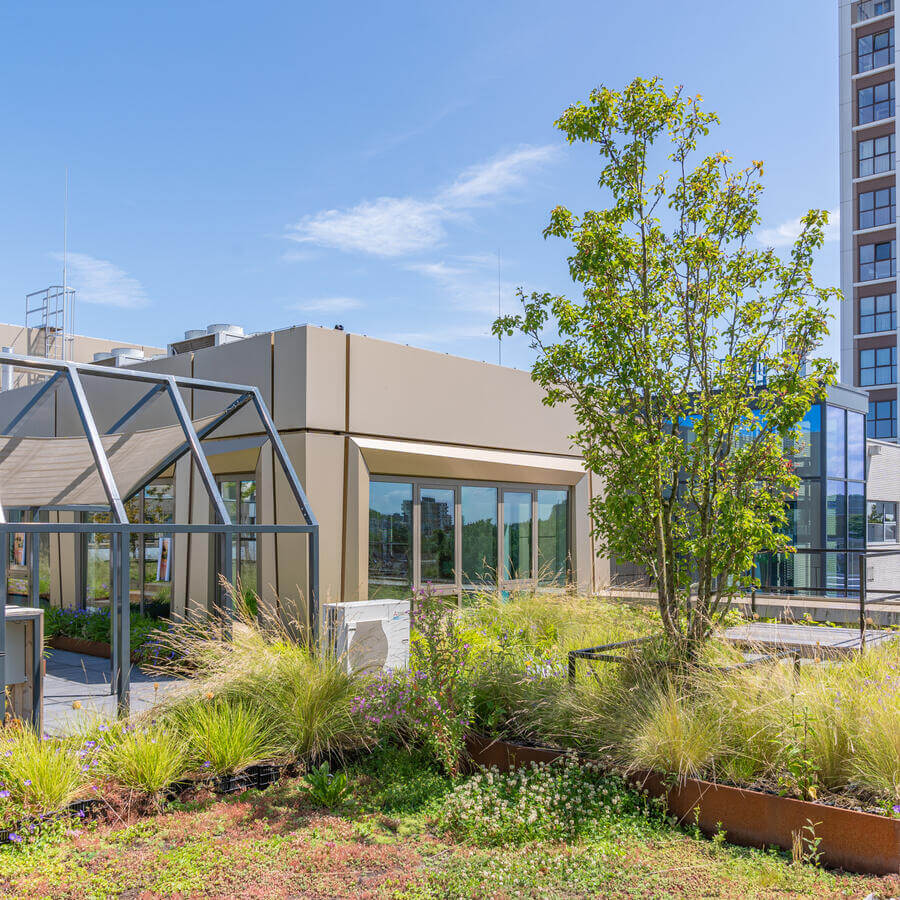 Urban Tree.: Een lichtgewicht oplossing <br>als planten geen optie is.